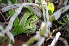 Killikus&reg; Fotographie